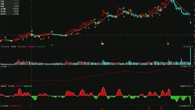 競價(jià)外包托管客服發(fā)貨篇 貨到付款如何用順豐軟件下單與競價(jià)冷門產(chǎn)品的軟件外包服務(wù)解析